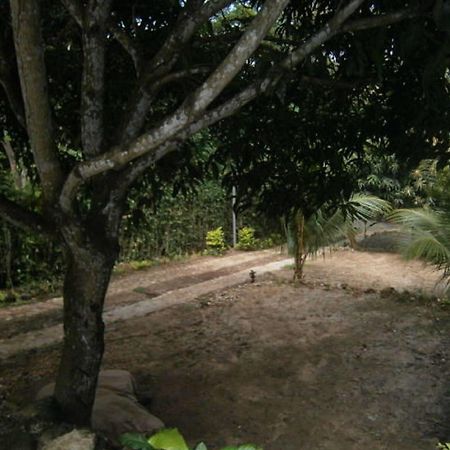 Madera Labrada Lodge Morales Exterior photo