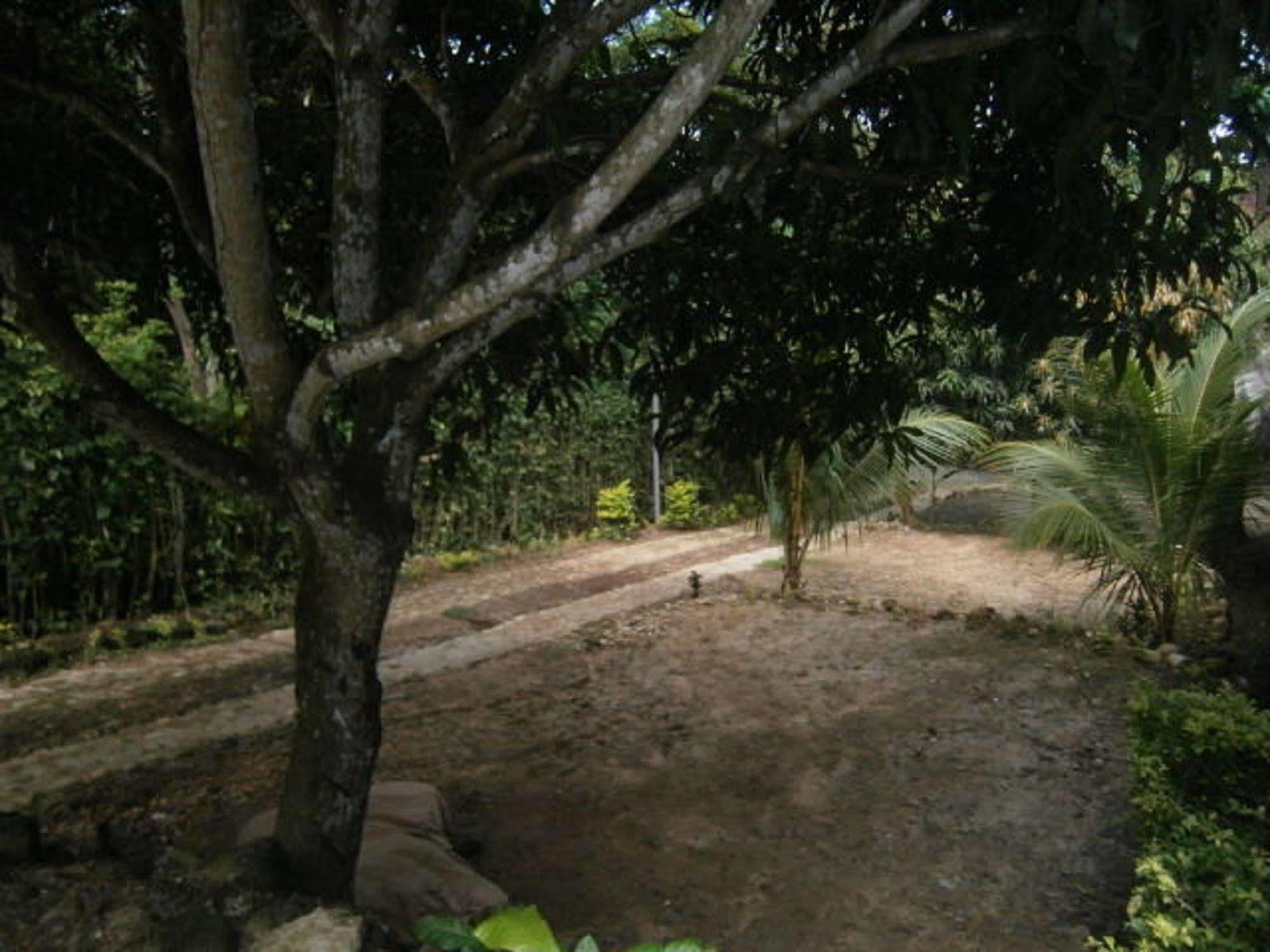 Madera Labrada Lodge Morales Exterior photo